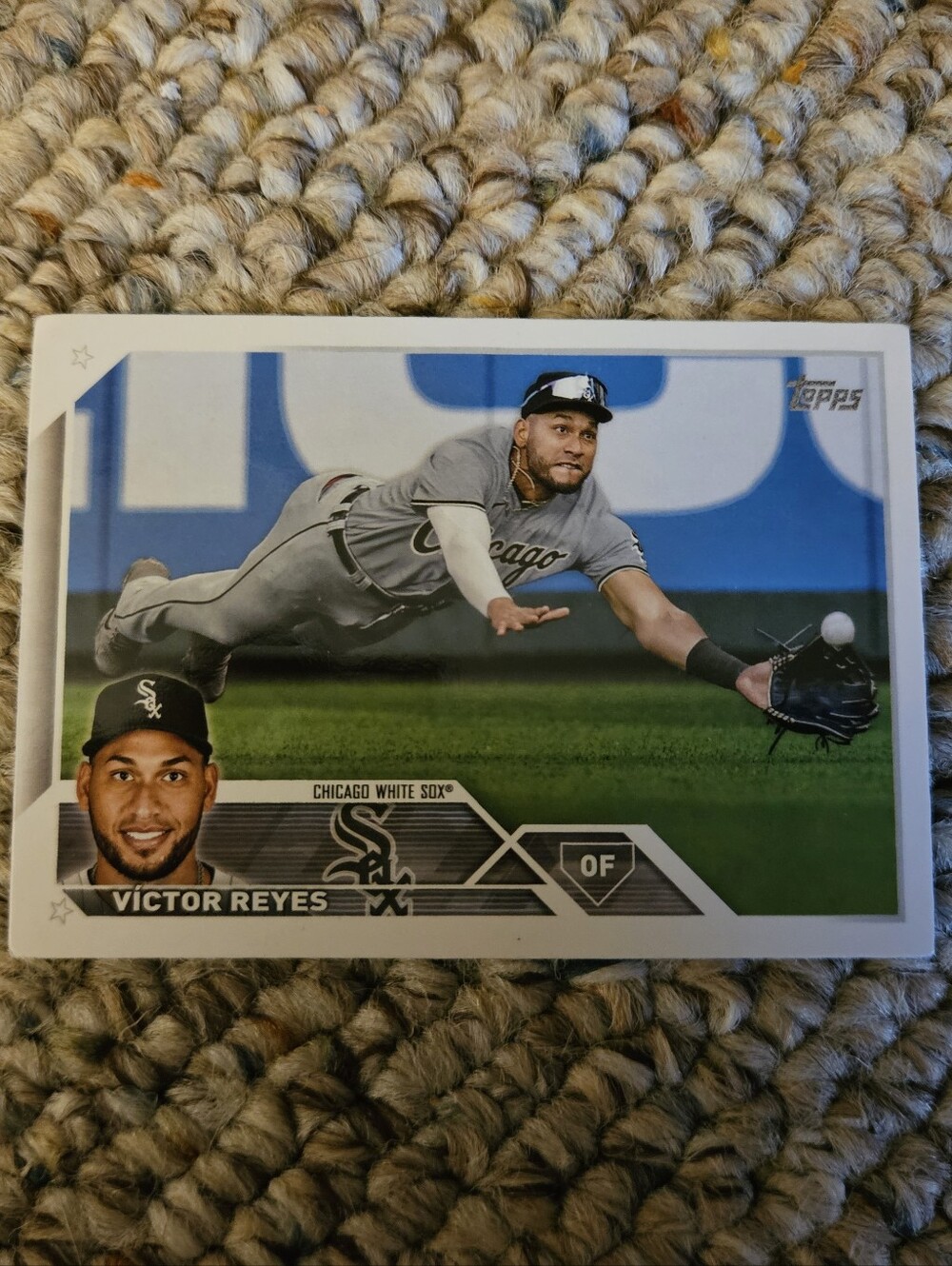 Topps Chicago White Sox Victor Reyes Card
